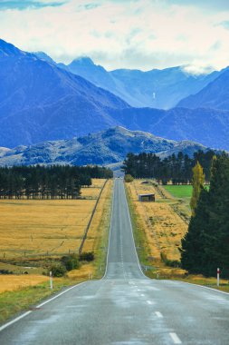Yolculuğa Yeni Zelanda