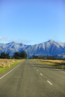 Road trip in New Zealand clipart