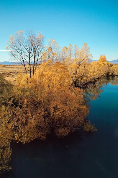 Alberi di autunno — Foto Stock