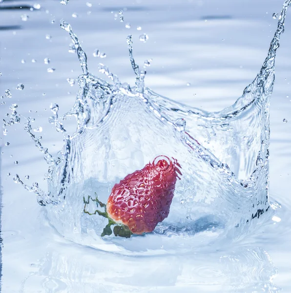 Strawberry splashing into water — Stock Photo, Image