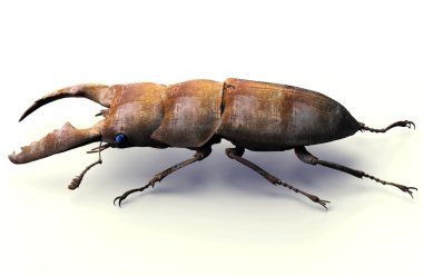 Beyaz Kırpma yoluyla, 3d Hüseyin izole metal robot böcek