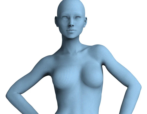 Cara de mujer en líneas de alambre aisladas en blanco.Ilustración 3D — Foto de Stock