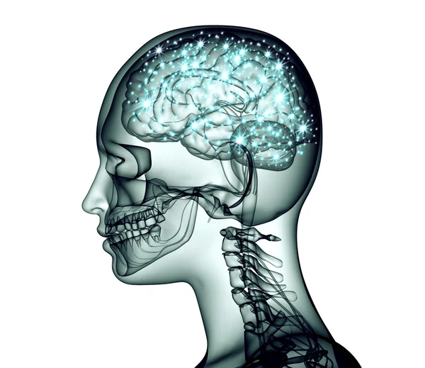 Рентгенівське зображення голови людини з мозком та електричними імпульсами — стокове фото