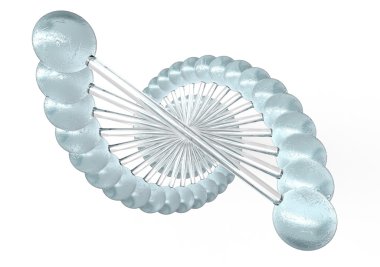 dubble sarmal dna yapısı üzerinde beyaz izole