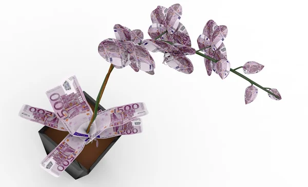 Цветок из банкнот евро — стоковое фото