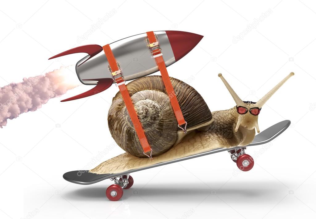 snail in a hurry