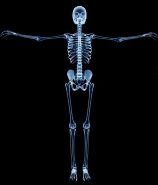 x-ray görüntü üzerinde siyah izole bir adamın