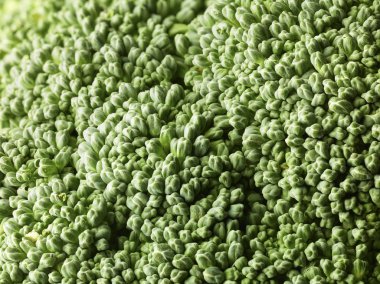 Brokoli arka plan çok yüksek çözünürlük