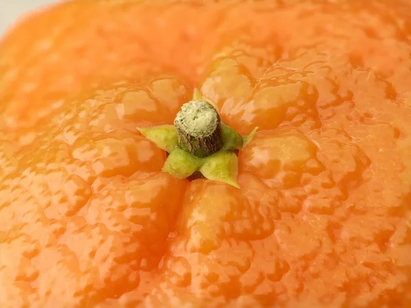 Mandarin Orange fond très haute résolution — Photo