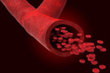 Blood vessel with bloodcells clipart