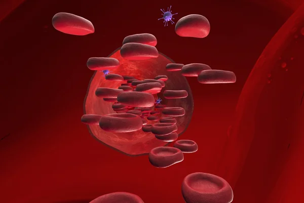 Vaso sanguíneo com células sanguíneas — Fotografia de Stock
