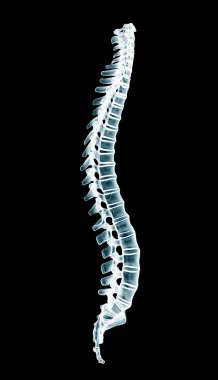 insan omurga bir siyah arka plan xray izole