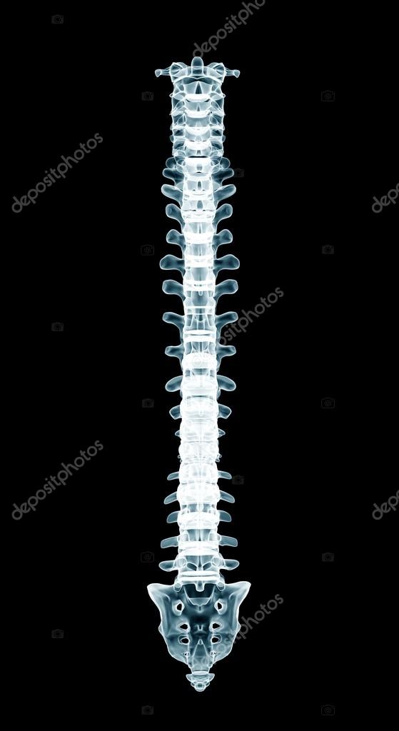 Spine Wallpaper