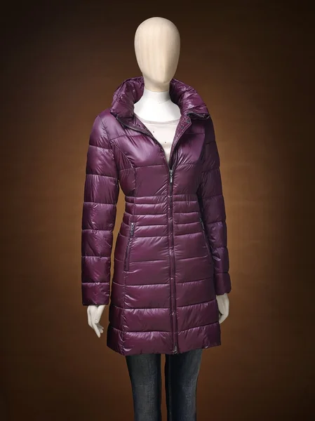 Женский пиджак изолирован на коричневом фоне — стоковое фото
