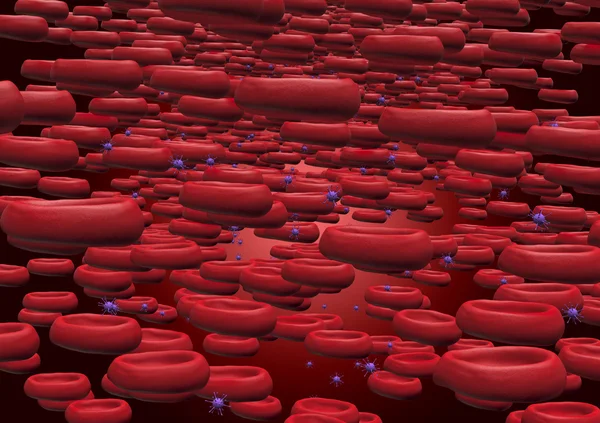Glóbulos vermelhos que fluem atiram uma artéria — Fotografia de Stock