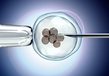 yumurta bir damlalıklı ve bir neeldle tutan