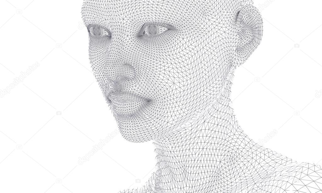 woman face in wireframe lines isolated on white.