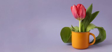 Pankart: Pastel zemin üzerinde kırmızı lale olan sarı bardak, yan görünüm, metin için boşluk