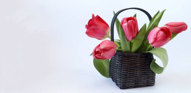 Pankart: Bir buket kırmızı lale sepette beyaz arka plan, yan görünüm, metin için boşluk