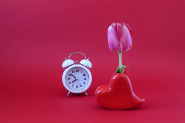 Kırmızı arka planda beyaz saati olan kalp vazosundaki kırmızı bir lale. Parlak bahar tatillerinin gelişi konsepti.