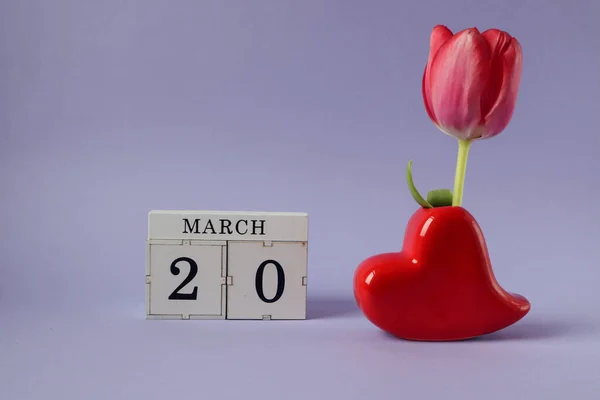 Calendar for March 20: cubes with the number 20, the name of the month March in English, a heart-shaped vase with a scarlet tulip on a pastel background