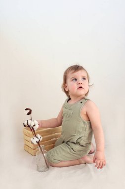 Hafif tulumlu iki yaşında bir kız, beyaz arka planda, dikey çerçeveli bir tahta kutu ve pamukla oynuyor.
