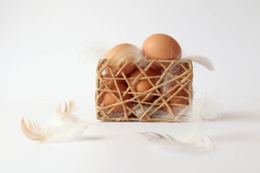Beyaz arka planda tavuk yumurtası ve hafif tüylü örgü vazo.