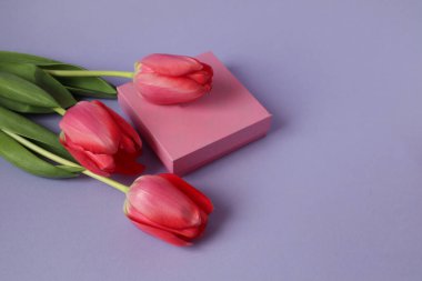 Pastel zemin üzerinde üç kırmızı lale bulunan hediye kutusu, metin için boşluk