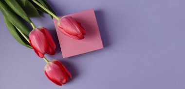 Pankart: Pastel arka planda pembe bir hediye kutusunda üç kırmızı lale, üst görünüm, metin için boşluk