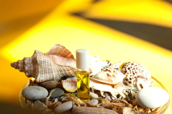 Natural aromatic oil with shells and sea stones against the background of plant shadows-the concept of using oils in body care