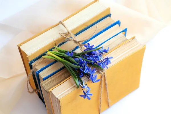 Una Pila Libros Atados Con Cuerda Con Ramo Flores Azules — Foto de Stock