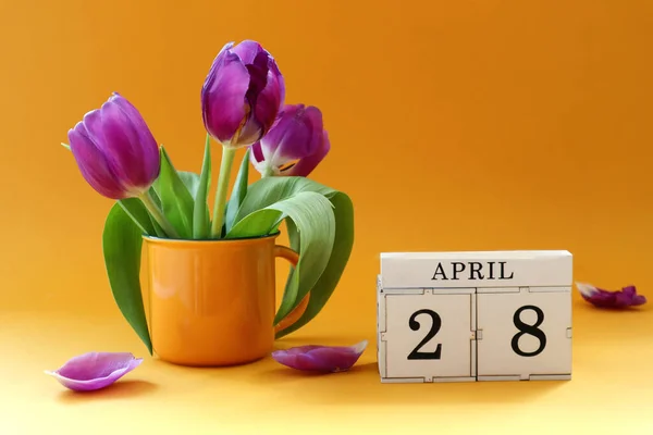 カレンダー28日 キューブの数28 英語で4月の名前 黄色の背景に黄色のカップにチューリップの花束 — ストック写真