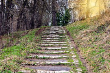 Çimlerle kaplanmış eski merdivenlerin basamakları güzel bir parka çıkar, güneşin ışınları yukarı çıkma konsepti.
