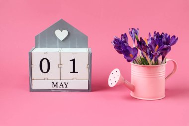 1 Mayıs takvimi: 0 ve 1 numaralı küpler, Mayıs ayının İngilizce adı, pembe arka planda bir buket mor timsah olan pembe sulama kutusu.