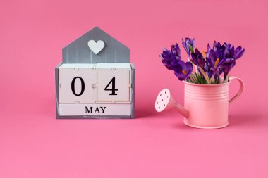 4 Mayıs takvimi: 0 ve 4 sayılı küpler, Mayıs ayının ismi, pembe arka planda bir buket mor timsah olan pembe sulama kutusu.