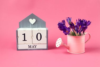 10 Mayıs takvimi: 10 numaralı bir küp, Mayıs ayının adı İngilizce, pembe arka planda bir buket mor timsah olan pembe bir sulama kutusu.