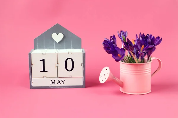 Calendar for May 10: a cube with the number 10, the name of the month of May in English,a pink watering can with a bouquet of purple crocuses on a pink background