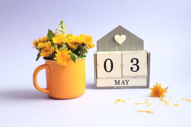 3 Mayıs takvimi: 0 ve 3 numaralı küpler, Mayıs ayının ismi, açık arkaplanda sarı bir fincanda bir buket karahindiba.