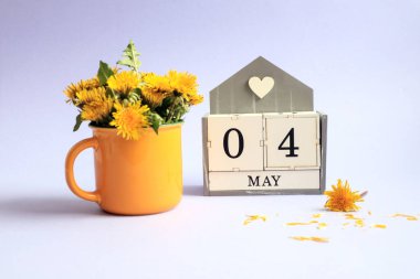 4 Mayıs takvimi: 0 ve 4 sayılı küpler, İngilizce 'de ayın adı, açık arkaplanda sarı bir fincanda bir buket karahindiba.