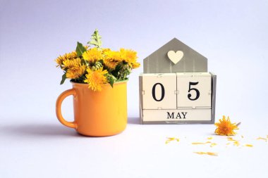 5 Mayıs takvimi: 0 ve 5 sayılı küpler, İngilizce 'de Mayıs ayının adı, açık arkaplanda sarı bir fincanda bir buket karahindiba.