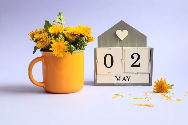 Calendar for May 2: cubes with the numbers 0 and 2, the name of the month of May in English, a bouquet of dandelions in a yellow cup on a light background