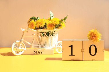 10 Mayıs için takvim: 10 numaralı küpler, Mayıs ayının adı İngilizce, sarı karahindiba buketli bisiklet, güneş ışınları, nesnelerden gelen gölgeler.