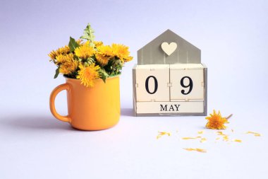 9 Mayıs takvimi: 0 ve 9 sayılı küpler, İngilizce 'de Mayıs ayının adı, açık arkaplanda sarı bir fincanda bir buket karahindiba.