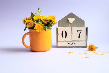 7 Mayıs takvimi: 0 ve 7 sayılı küpler, İngilizce 'de Mayıs ayının adı, açık arkaplanda sarı bir fincanda bir buket karahindiba.