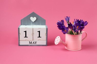 11 Mayıs takvimi: 11 numaralı bir küp, Mayıs ayının adı İngilizce, pembe arka planda bir buket mor timsah olan pembe bir sulama kutusu.