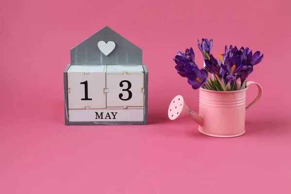 Calendar for May 13: a cube with the number 13, the name of the month of May in English,a pink watering can with a bouquet of purple crocuses on a pink background