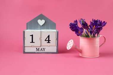 14 Mayıs takvimi: 14 numaralı bir küp, Mayıs ayının adı İngilizce, pembe arka planda bir buket mor timsah olan pembe bir sulama kutusu.