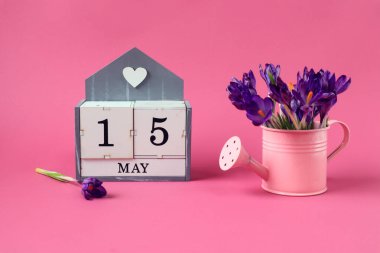 15 Mayıs takvimi: 15 numaralı bir küp, İngilizce 'de ayın adı, pembe arka planda bir buket mor timsah olan pembe bir sulama kutusu.