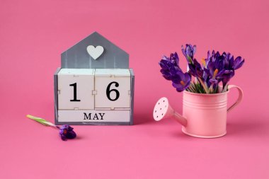 16 Mayıs takvimi: 16 numaralı bir küp, İngilizce 'de ayın adı, pembe arka planda bir buket mor timsah olan pembe bir sulama kutusu.