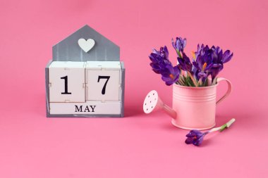 17 Mayıs takvimi: 17 numaralı bir küp, Mayıs ayının adı İngilizce, pembe arka planda bir buket mor timsah olan pembe bir sulama kutusu.